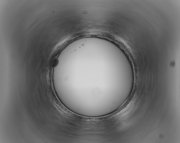 X0000091521403200708171000