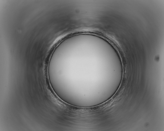 X0000091521404200708171000