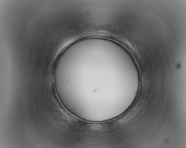X0000091521405200708171000