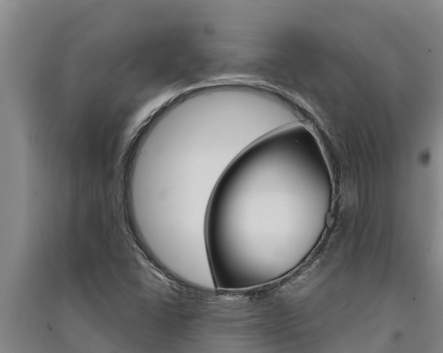 X0000091521406200708171000