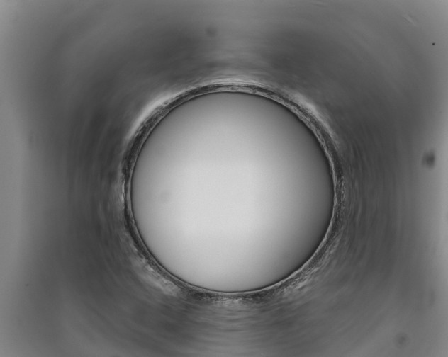 X0000091521408200708171000