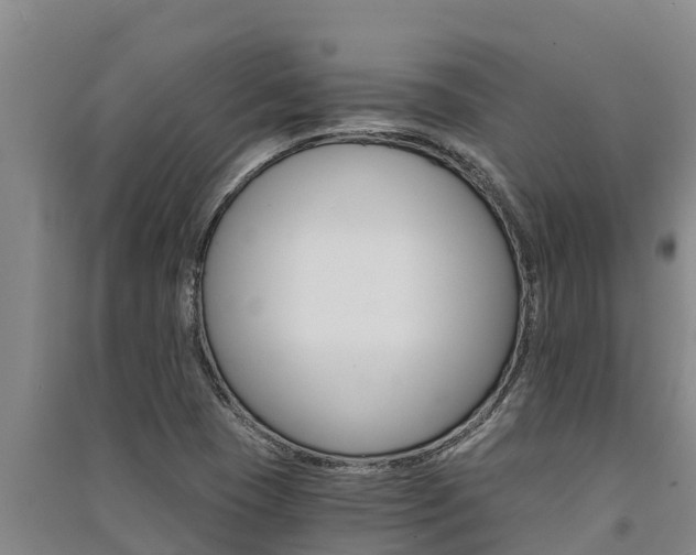X0000091521409200708171000