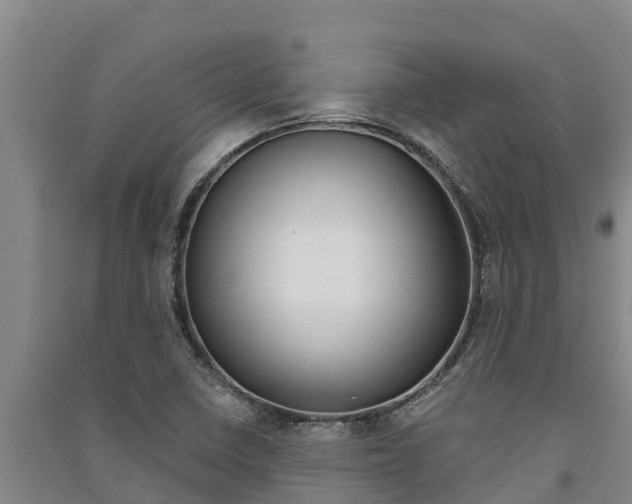 X0000091521410200708171000