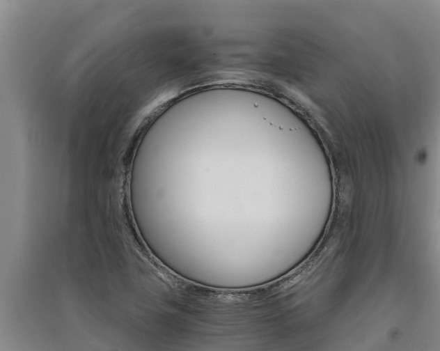X0000091521411200708171000