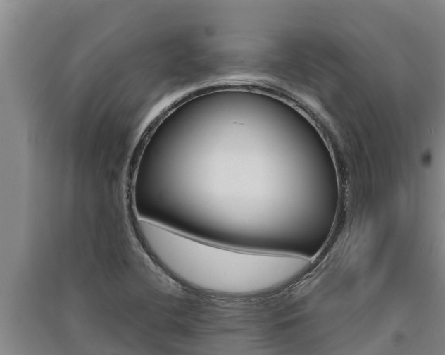 X0000091521412200708171000