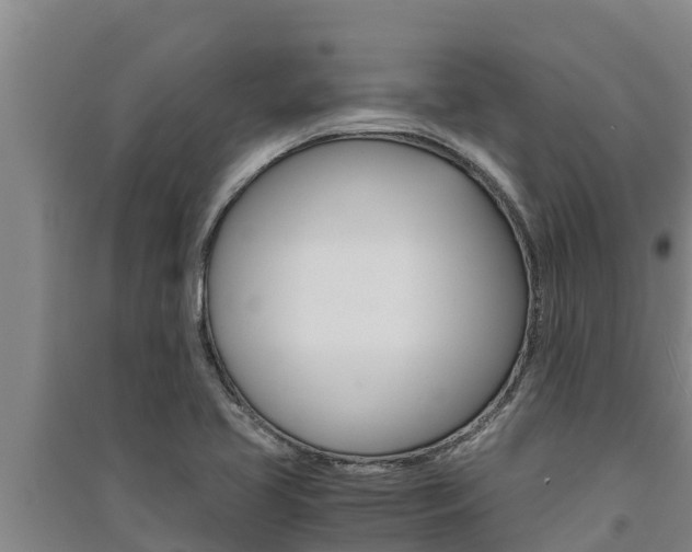 X0000091521413200708171000
