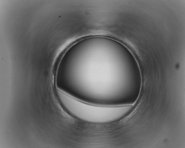 X0000091521414200708171000