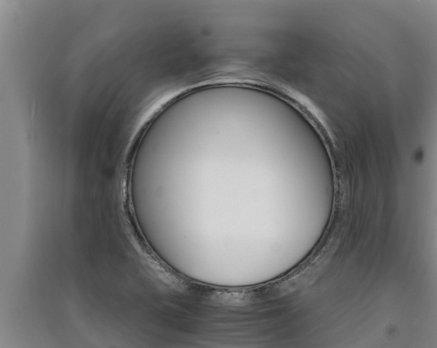 X0000091521415200708171000