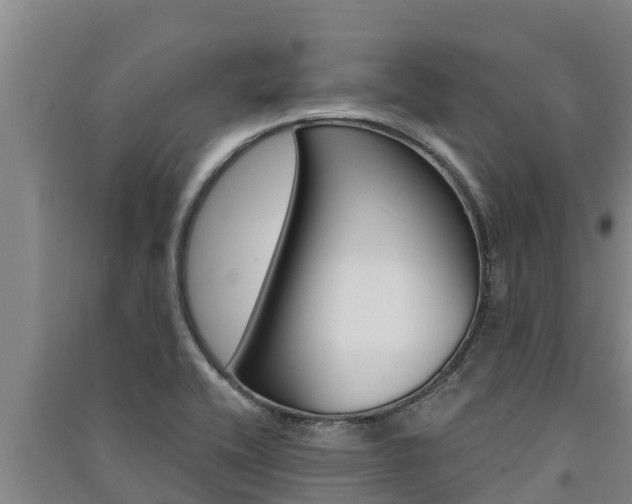 X0000091521416200708171000