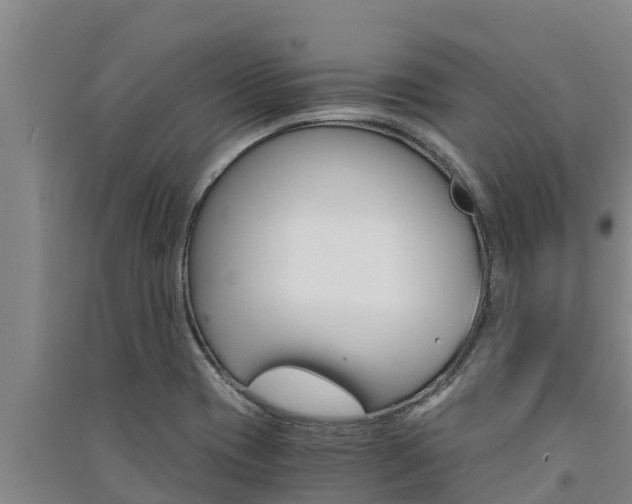 X0000091521417200708171000