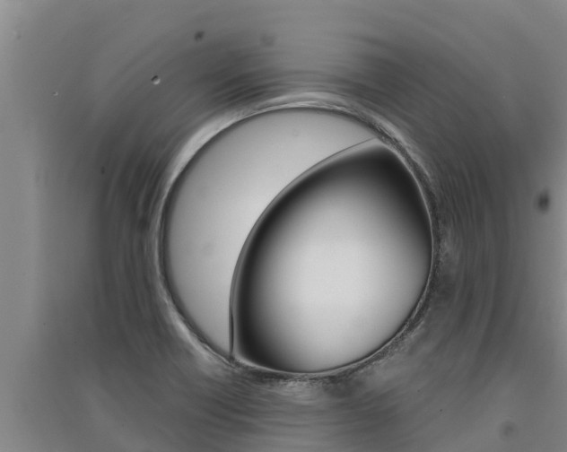 X0000091521418200708171000