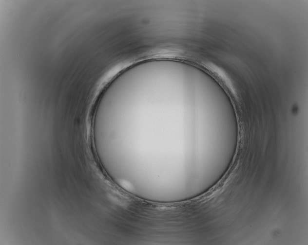 X0000091521419200708171000
