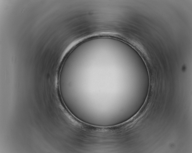 X0000091521420200708171000