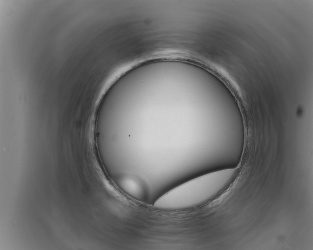 X0000091521421200708171000