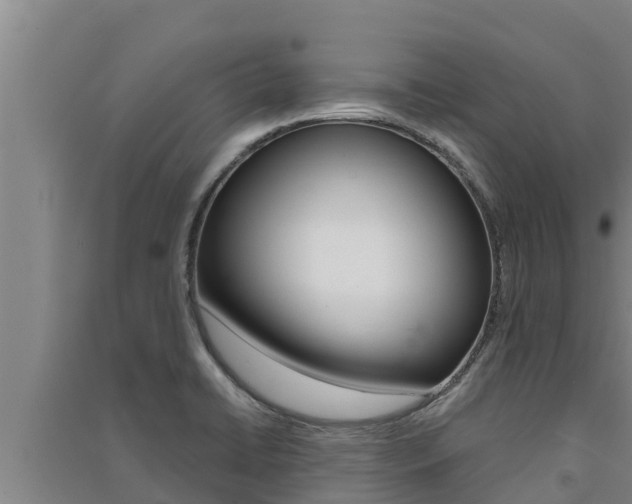 X0000091521422200708171000