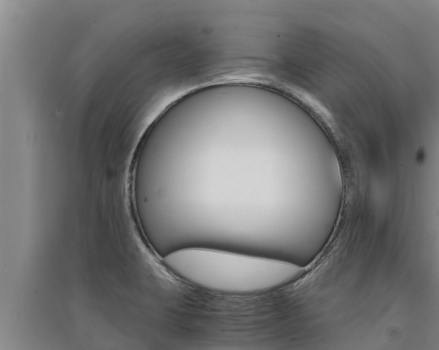 X0000091521423200708171000
