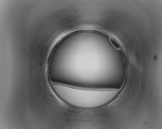 X0000091521424200708171000