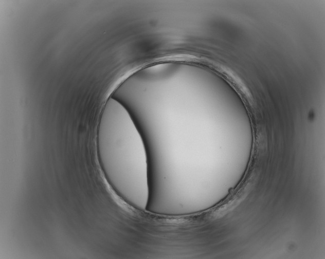 X0000091521425200708171000
