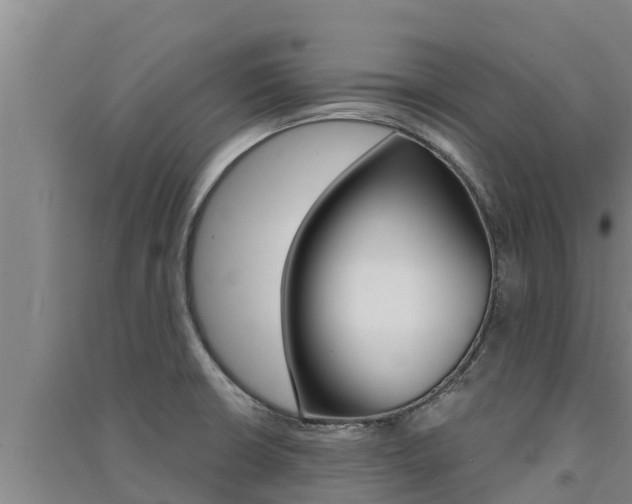 X0000091521426200708171000