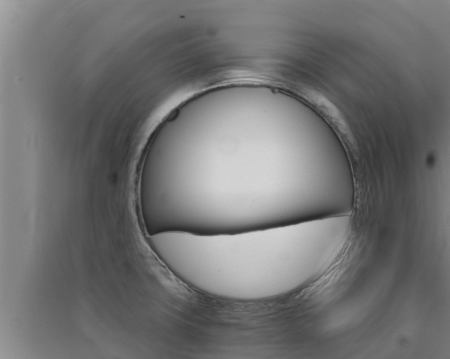 X0000091521427200708171000