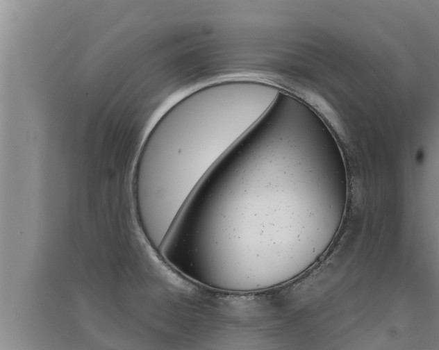 X0000091521428200708171000