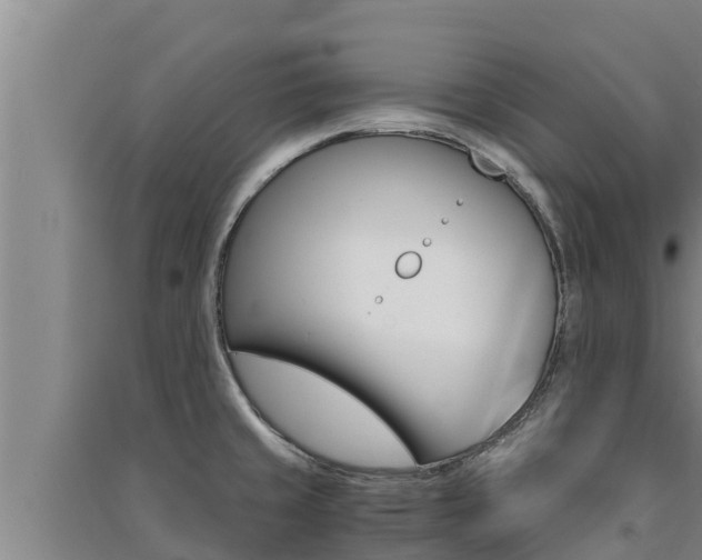 X0000091521429200708171000