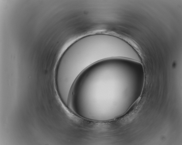X0000091521430200708171000