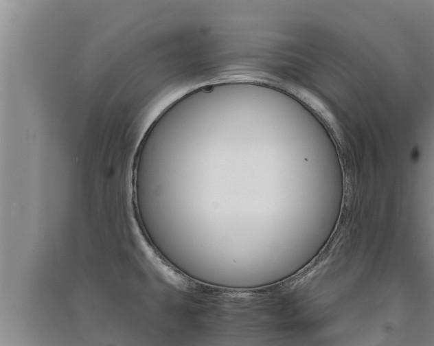 X0000091521431200708171000