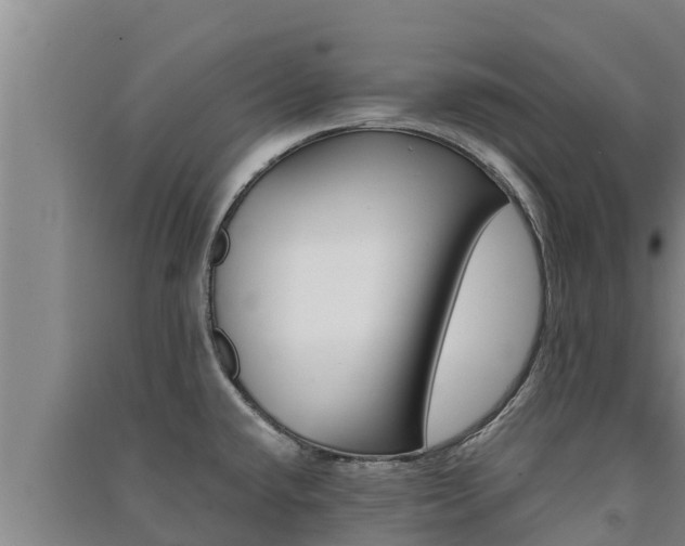 X0000091521432200708171000