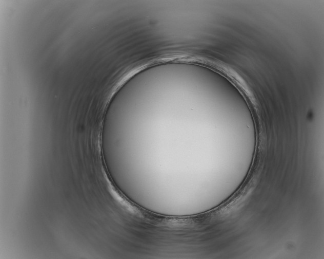 X0000091521433200708171000