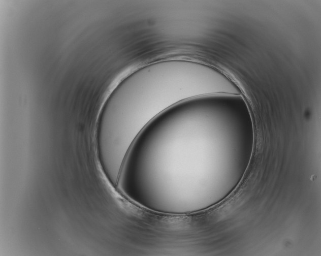 X0000091521434200708171000