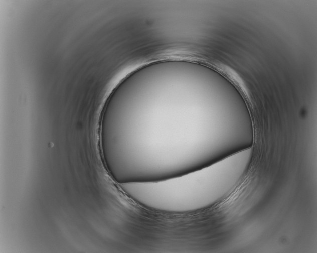 X0000091521435200708171000