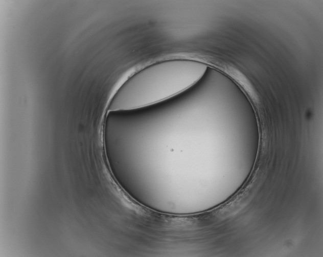 X0000091521436200708171000