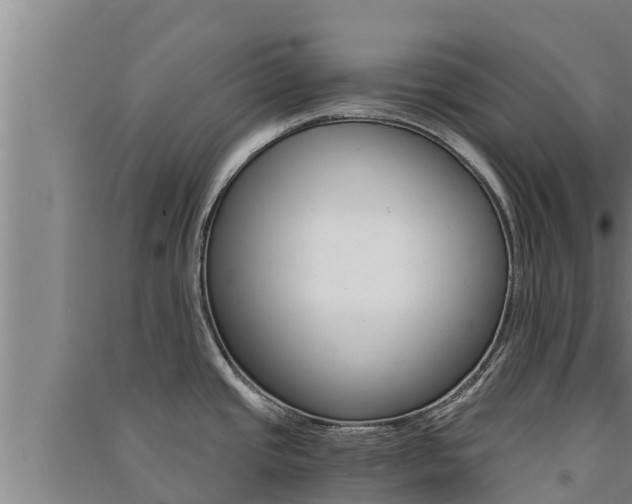 X0000091521437200708171000