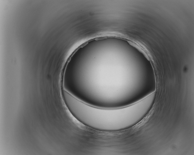X0000091521438200708171000