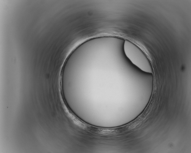 X0000091521439200708171001