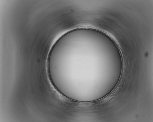 X0000091521440200708171001