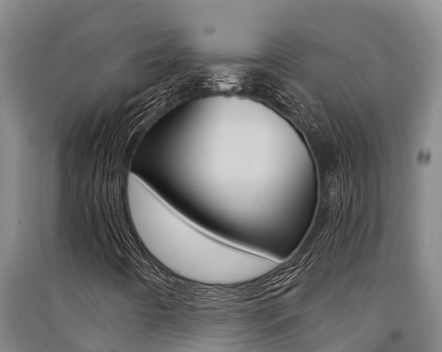 X0000091521442200708171000