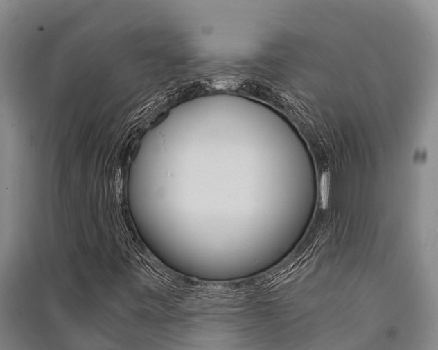 X0000091521443200708171000