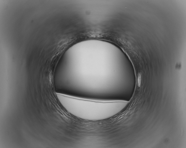 X0000091521444200708171000