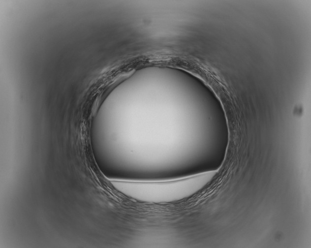 X0000091521445200708171000