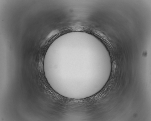 X0000091521446200708171000