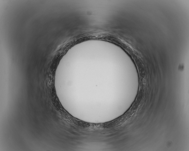 X0000091521447200708171000