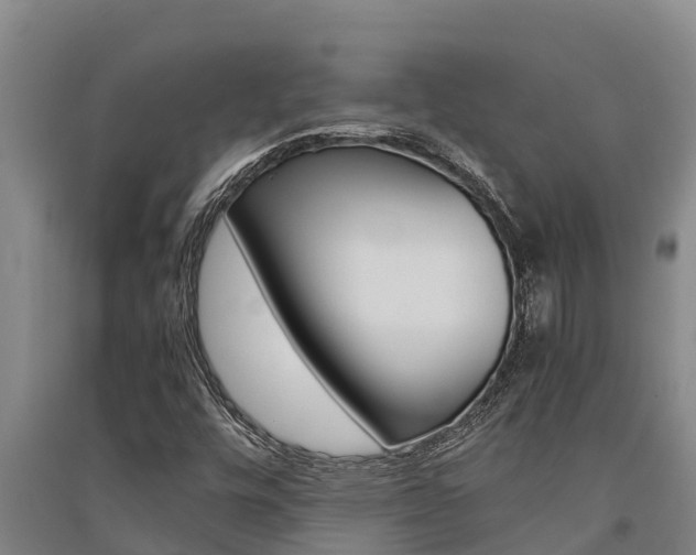 X0000091521448200708171000