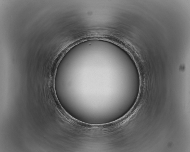 X0000091521449200708171000