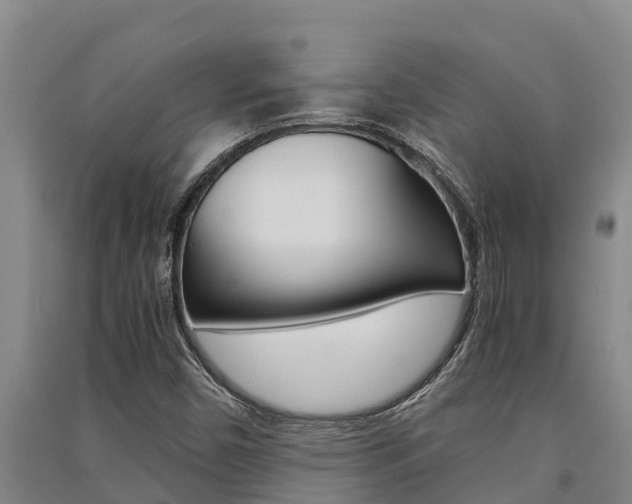 X0000091521450200708171000