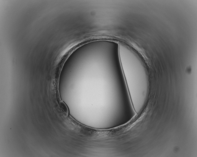 X0000091521453200708171000