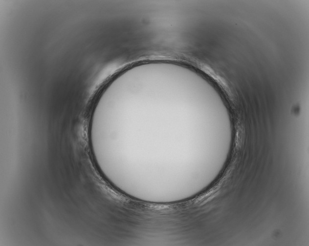 X0000091521454200708171000