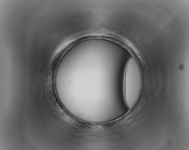 X0000091521456200708171000