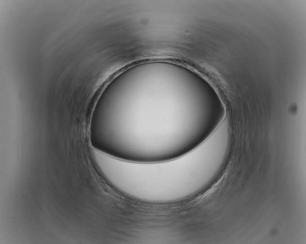 X0000091521457200708171000